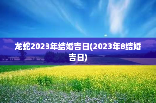 龙蛇2023年结婚吉日(2023年8结婚吉日)第1张-八字查询