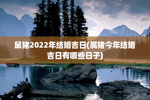 鼠猪2022年结婚吉日(属猪今年结婚吉日有哪些日子)第1张-八字查询