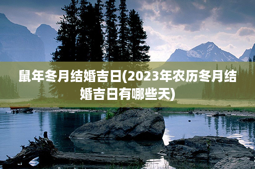 鼠年冬月结婚吉日(2023年农历冬月结婚吉日有哪些天)第1张-八字查询