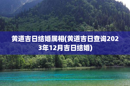 黄道吉日结婚属相(黄道吉日查询2023年12月吉日结婚)第1张-八字查询