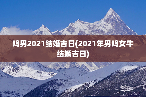 鸡男2021结婚吉日(2021年男鸡女牛结婚吉日)第1张-八字查询