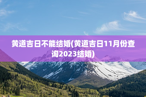 黄道吉日不能结婚(黄道吉日11月份查询2023结婚)第1张-八字查询