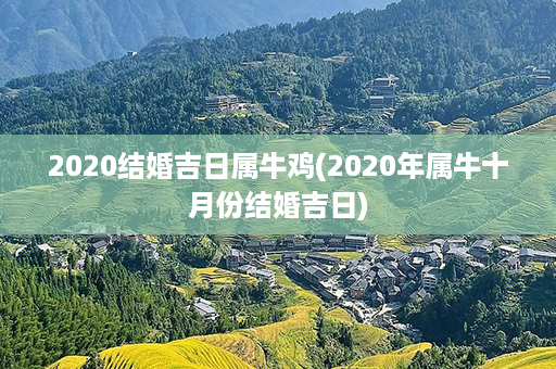 2020结婚吉日属牛鸡(2020年属牛十月份结婚吉日)第1张-八字查询