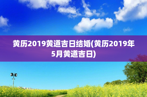 黄历2019黄道吉日结婚(黄历2019年5月黄道吉日)第1张-八字查询