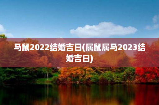 马鼠2022结婚吉日(属鼠属马2023结婚吉日)第1张-八字查询