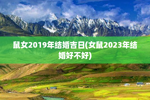 鼠女2019年结婚吉日(女鼠2023年结婚好不好)第1张-八字查询