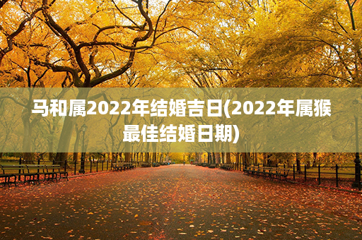 马和属2022年结婚吉日(2022年属猴最佳结婚日期)第1张-八字查询