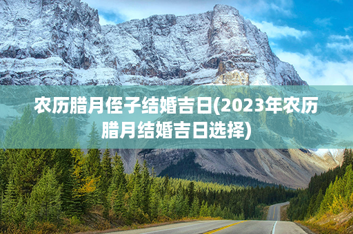 农历腊月侄子结婚吉日(2023年农历腊月结婚吉日选择)第1张-八字查询