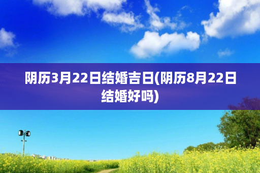 阴历3月22日结婚吉日(阴历8月22日结婚好吗)第1张-八字查询