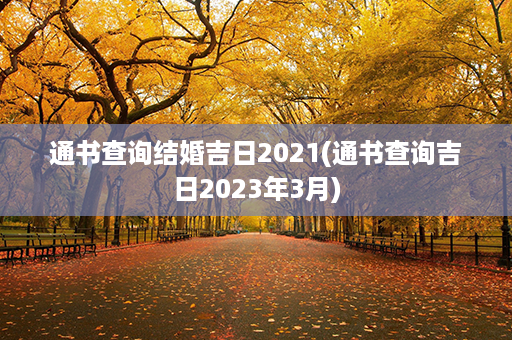 通书查询结婚吉日2021(通书查询吉日2023年3月)第1张-八字查询