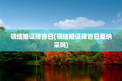 领结婚证择吉日(领结婚证择吉日是纳采吗)第1张-八字查询