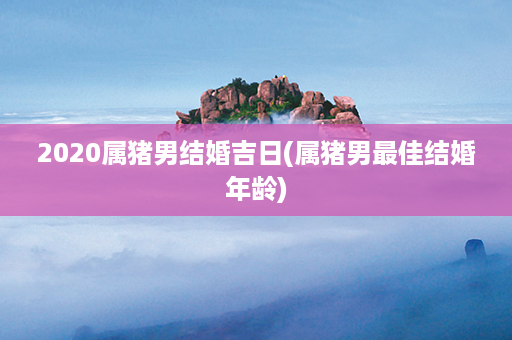 2020属猪男结婚吉日(属猪男最佳结婚年龄)第1张-八字查询