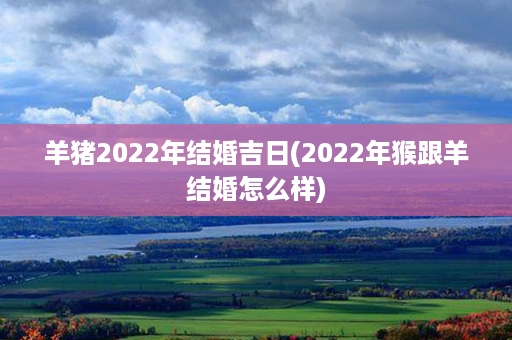 羊猪2022年结婚吉日(2022年猴跟羊结婚怎么样)第1张-八字查询