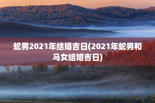 蛇男2021年结婚吉日(2021年蛇男和马女结婚吉日)第1张-八字查询