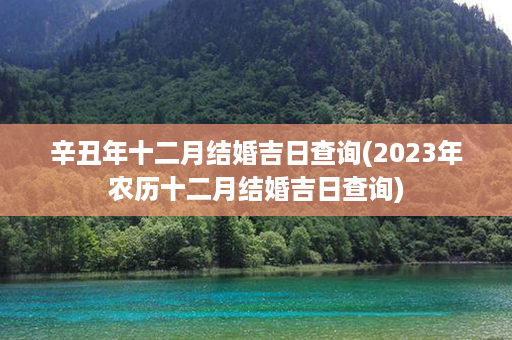 辛丑年十二月结婚吉日查询(2023年农历十二月结婚吉日查询)第1张-八字查询