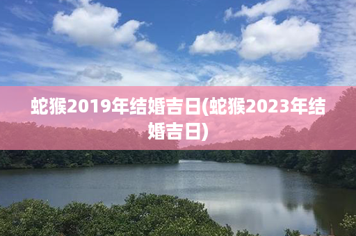 蛇猴2019年结婚吉日(蛇猴2023年结婚吉日)第1张-八字查询