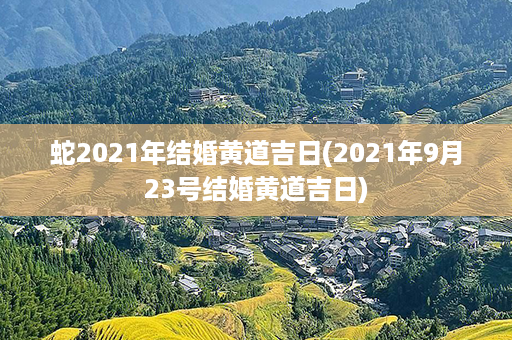 蛇2021年结婚黄道吉日(2021年9月23号结婚黄道吉日)第1张-八字查询