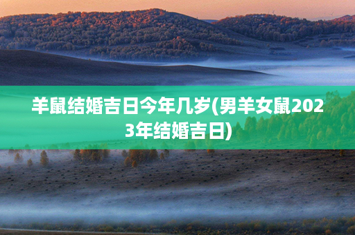 羊鼠结婚吉日今年几岁(男羊女鼠2023年结婚吉日)第1张-八字查询