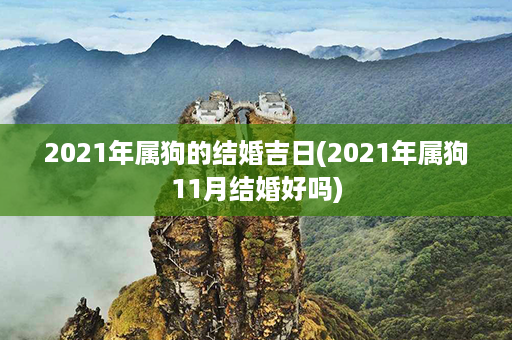 2021年属狗的结婚吉日(2021年属狗11月结婚好吗)第1张-八字查询