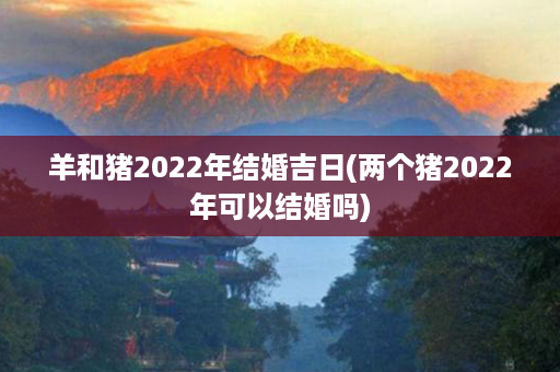 羊和猪2022年结婚吉日(两个猪2022年可以结婚吗)第1张-八字查询