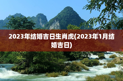 2023年结婚吉日生肖虎(2023年1月结婚吉日)第1张-八字查询