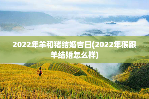 2022年羊和猪结婚吉日(2022年猴跟羊结婚怎么样)第1张-八字查询