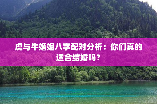 虎与牛婚姻八字配对分析：你们真的适合结婚吗？第1张-八字查询