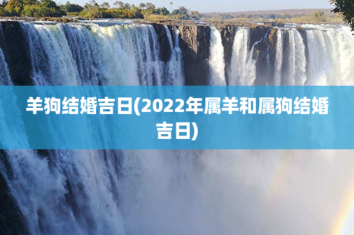 羊狗结婚吉日(2022年属羊和属狗结婚吉日)第1张-八字查询