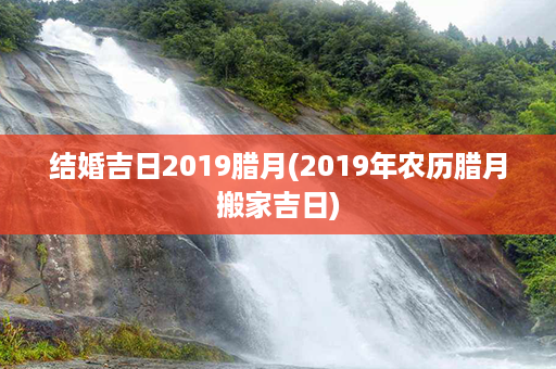 结婚吉日2019腊月(2019年农历腊月搬家吉日)第1张-八字查询