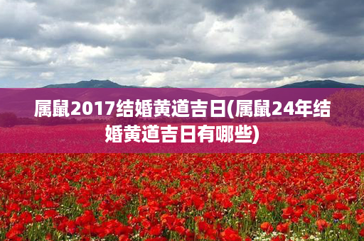 属鼠2017结婚黄道吉日(属鼠24年结婚黄道吉日有哪些)第1张-八字查询