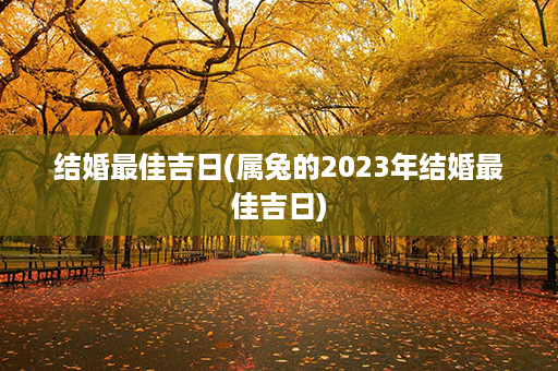 结婚最佳吉日(属兔的2023年结婚最佳吉日)第1张-八字查询