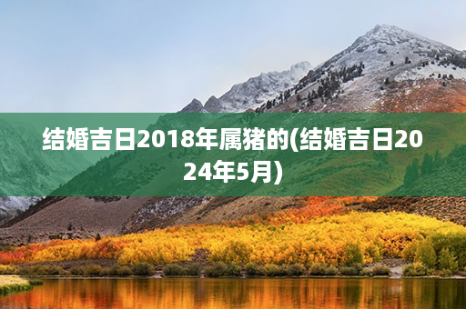 结婚吉日2018年属猪的(结婚吉日2024年5月)第1张-八字查询