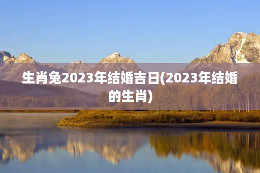 生肖兔2023年结婚吉日(2023年结婚的生肖)第1张-八字查询