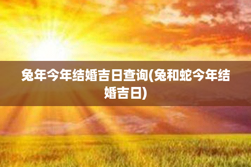 兔年今年结婚吉日查询(兔和蛇今年结婚吉日)第1张-八字查询