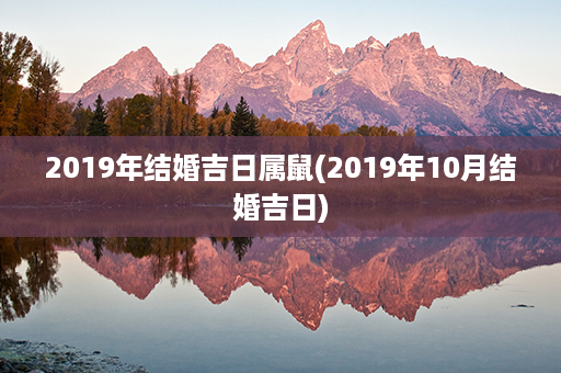 2019年结婚吉日属鼠(2019年10月结婚吉日)第1张-八字查询