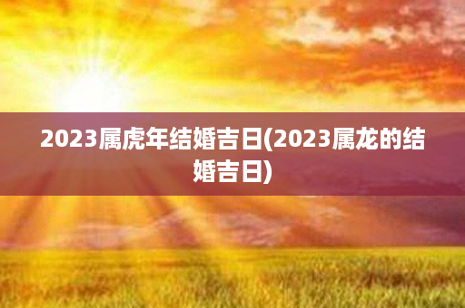 2023属虎年结婚吉日(2023属龙的结婚吉日)第1张-八字查询