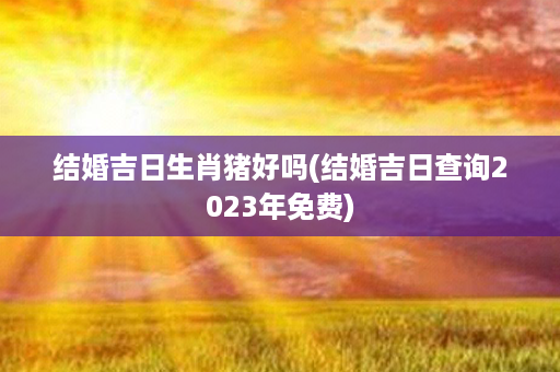 结婚吉日生肖猪好吗(结婚吉日查询2023年免费)第1张-八字查询