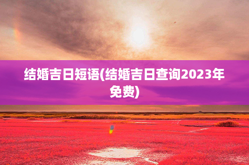 结婚吉日短语(结婚吉日查询2023年免费)第1张-八字查询