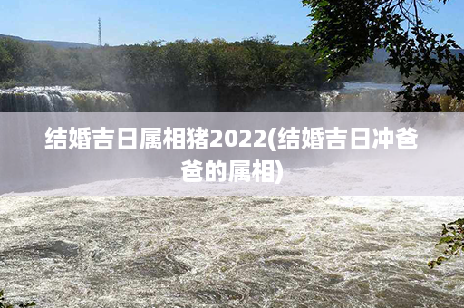 结婚吉日属相猪2022(结婚吉日冲爸爸的属相)第1张-八字查询