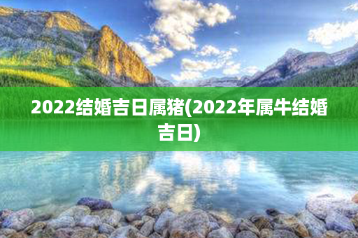 2022结婚吉日属猪(2022年属牛结婚吉日)第1张-八字查询