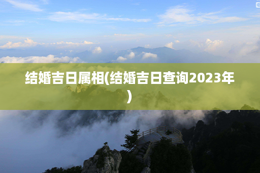 结婚吉日属相(结婚吉日查询2023年)第1张-八字查询