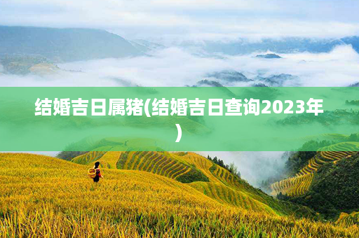 结婚吉日属猪(结婚吉日查询2023年)第1张-八字查询