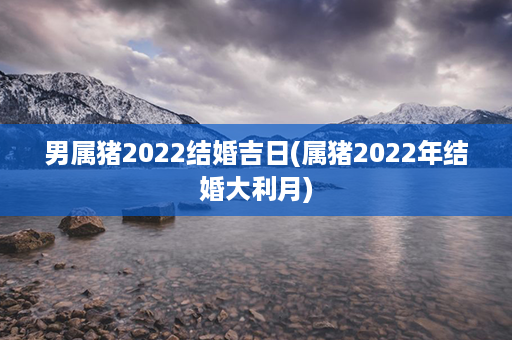 男属猪2022结婚吉日(属猪2022年结婚大利月)第1张-八字查询