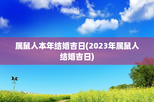 属鼠人本年结婚吉日(2023年属鼠人结婚吉日)第1张-八字查询