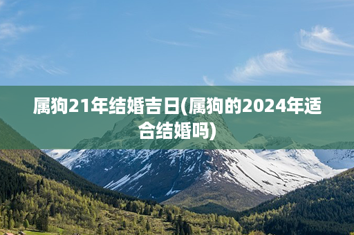 属狗21年结婚吉日(属狗的2024年适合结婚吗)第1张-八字查询