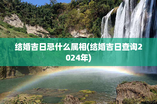 结婚吉日忌什么属相(结婚吉日查询2024年)第1张-八字查询