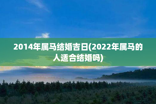 2014年属马结婚吉日(2022年属马的人适合结婚吗)第1张-八字查询