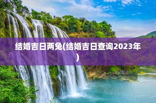 结婚吉日两兔(结婚吉日查询2023年)第1张-八字查询