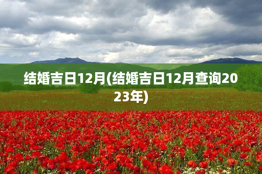 结婚吉日12月(结婚吉日12月查询2023年)第1张-八字查询