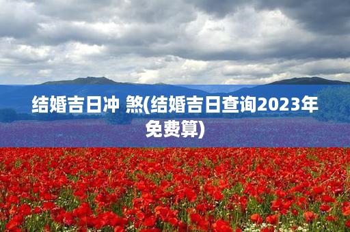 结婚吉日冲 煞(结婚吉日查询2023年免费算)第1张-八字查询